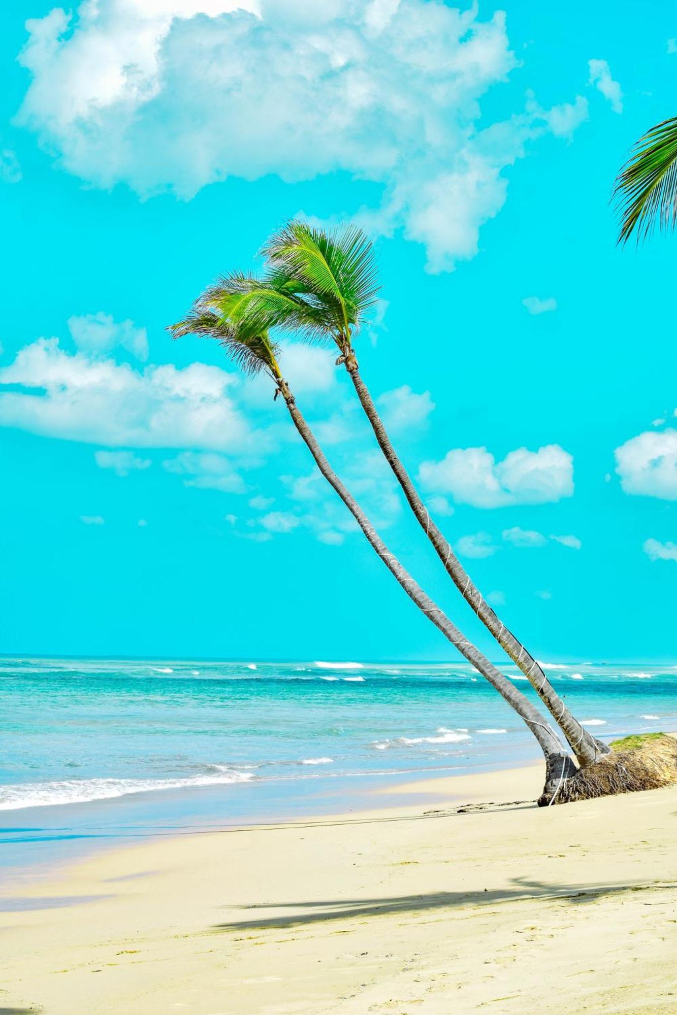 Playa Palmera Beach Resort Punta Cana Kültér fotó